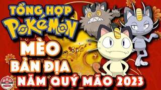 Năm Mới Quý Mão 2023 và những loài Mèo Bản Địa trong thế giới Pokemon !!! | PAG Center