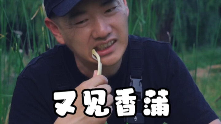 Berapa banyak dari kalian yang pernah makan ini? Yang pernah makan, angkat tangan!