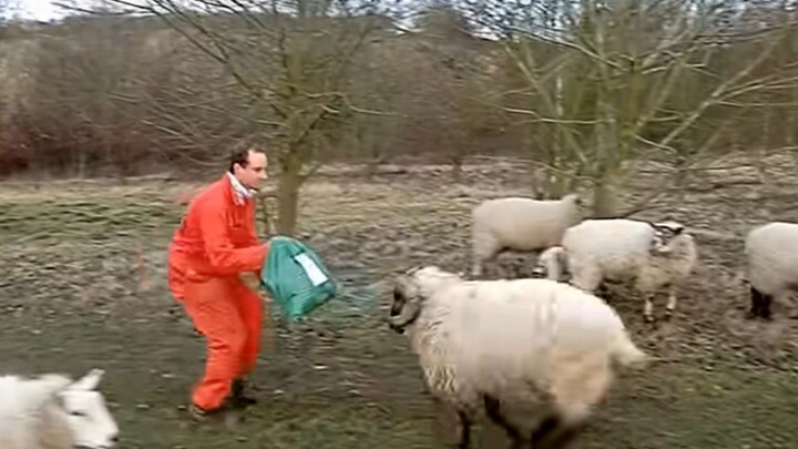 【พฤติกรรมชวนงงของมนุษย์】 094 ไม่เคยเจอเรื่องไร้สาระขนาดนี้มาก่อนในชีวิต