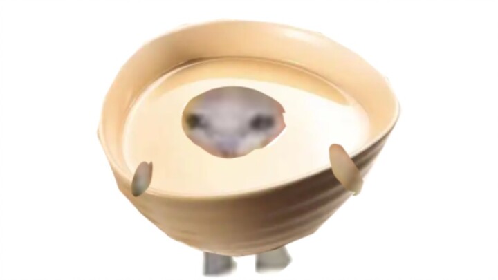 Croissant cat, but bean juice