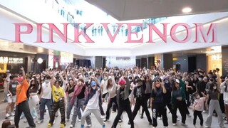 【BLACKPINK】世界墨日来了！！Pink Venom 随机舞蹈|随唱谁跳广州站第二十五次KPOP随机舞蹈