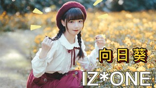 【栗子沈英】Sunflower🌻Sunflower IZ*ONE🌻Winter Warm Sun Limited Edition