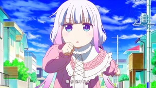 【7 نوفمبر/كيوتو أنيميشن/الإعلان النهائي للصين القارية】 تنانين آل كوباياشي: التنانين الخجولة من الوحد