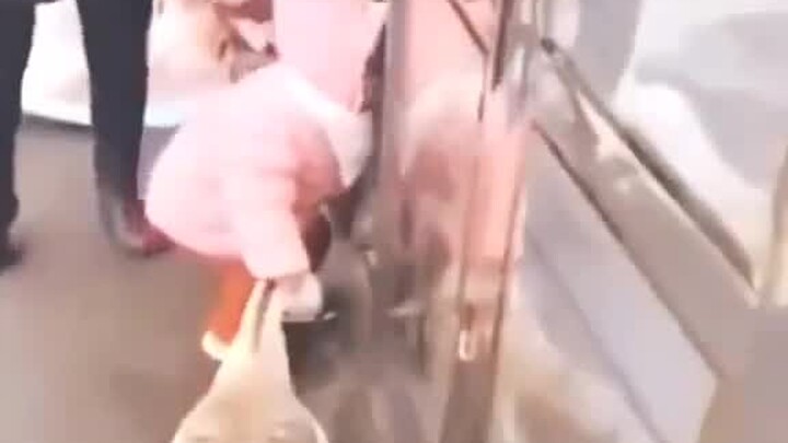 Hahahaha hahahaha anak ini