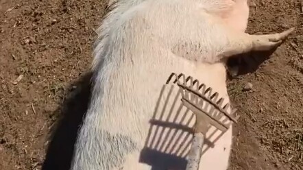 ในที่สุดก็เจอบอบบี้แล้ว!