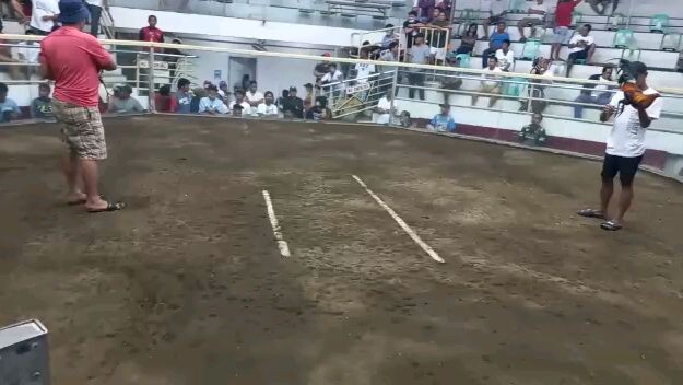 3cock derby 1stfyt draw