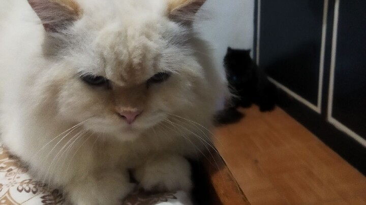 just a certain amount of