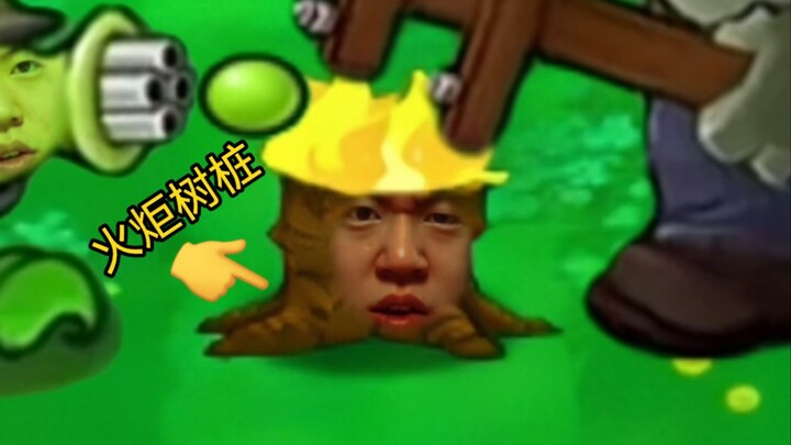 ความเจ็บปวดของตอไม้คบเพลิง