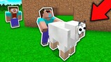 NOOB SỞ HỮU NGƯỜI BẠN CỪU MỚI TRONG MINECRAFT!!