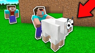 NOOB SỞ HỮU NGƯỜI BẠN CỪU MỚI TRONG MINECRAFT!!