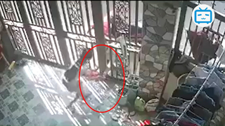 Giả làm 'NHÂN VIÊN BẢO HIỂM', người phụ nữ lừa 2 cháu nhỏ ĐƯA HEO ĐẤT #lifestyle