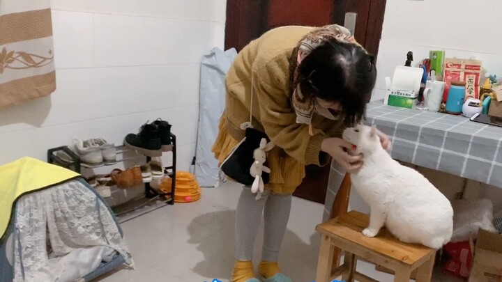 ชีวิตจริงของสาวเซี่ยงไฮ้หลังเลิกงาน: ไม่มีดิสโก้ ไม่มีคาราโอเกะ มีแต่ซักผ้า ถูพื้น และเล่นกับแมว