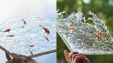 How amazing is the fan made of water, @make a thing 1:1 restore the koi water fan, the master is in 
