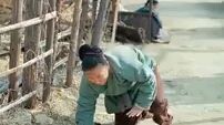 Mov25 Transported back to ancient times as a military advisor I led ancient to wage modern style war