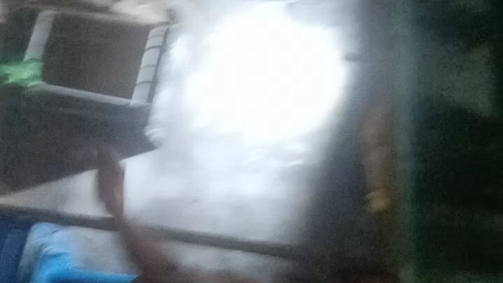 paru-parong bukid gang