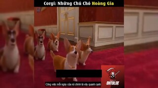 Tóm tắt phim: Corgi - Những chú chó hoàng gia p1 #reviewphimhay