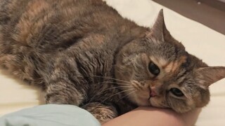 I love lying on Mommy's arms