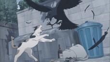 Haikyuu Episode 9 Tagalog Dubbed