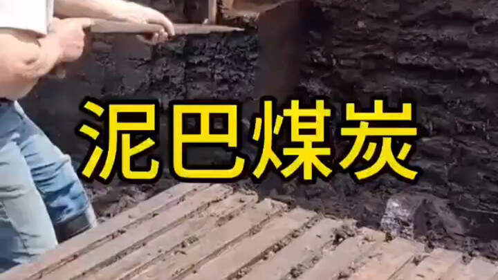 هبة الطبيعة: فحم الطين