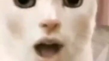 let's play football WORLD CUPPPP WORLD CUUUUPPPP WORLD CUP
