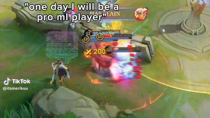 pa support guys