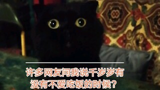 Đối mặt với chú mèo lười ăn, tôi có tuyệt chiêu!