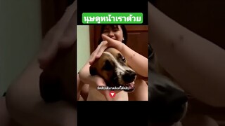 นุษดูหน้าเราด้วย