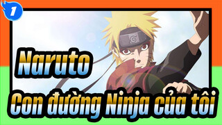 Naruto
Con đường Ninja của tôi_1