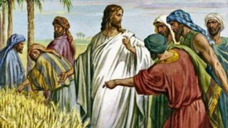 Tuesday, July 8, 2025 Tuesday of the Fourteenth Week in Ordinary Time #faith #readings #ordinarytime
