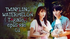 TWINKLING WATERMELON EPISODE 01 TAGALOG