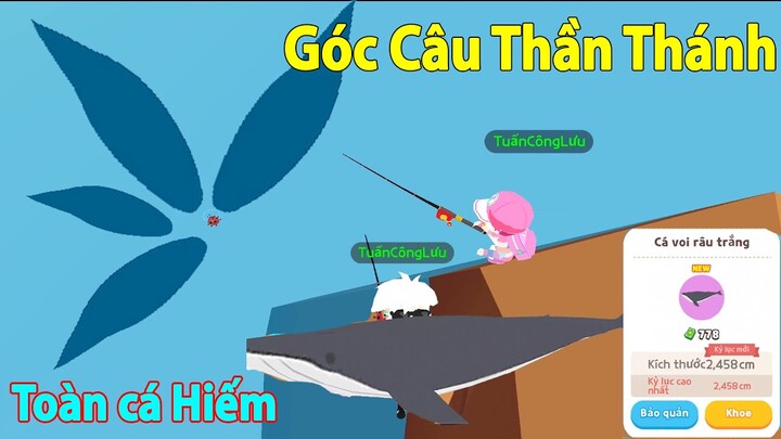 Play Together |  Vị Trí Câu Cá Voi Râu Trắng Trong Play Together - Góc Câu Thần Thánh