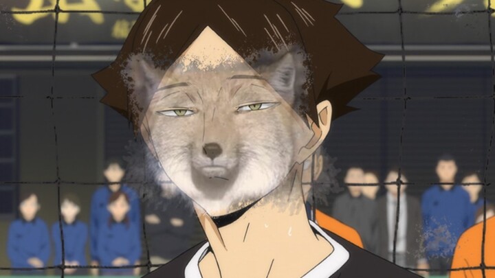 "No one ever told me that the characters in the Tibetan Fox anime are so handsome."