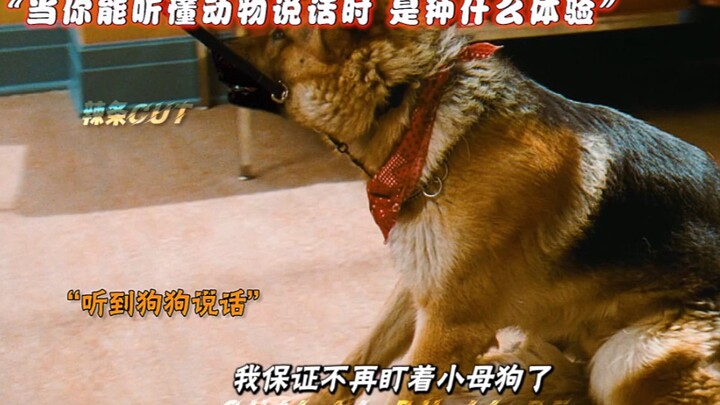 “เมื่อคุณฟังภาษาสัตว์ออก จะรู้สึกแบบไหนนะ?”