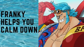 Franky Calms You Down From a Panic Attack! (One Piece ASMR) (Personal Attention)