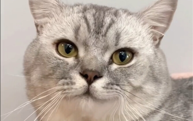 Puding: Ternyata si badut itu adalah aku sendiri