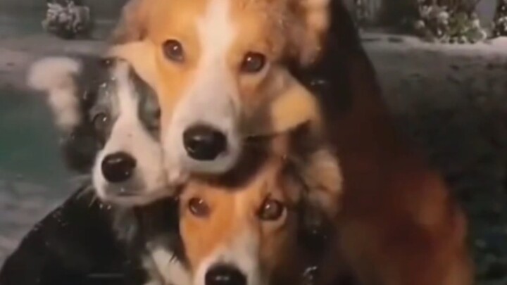 نريد أن نبقى الأفضل في العالم إلى الأبد!