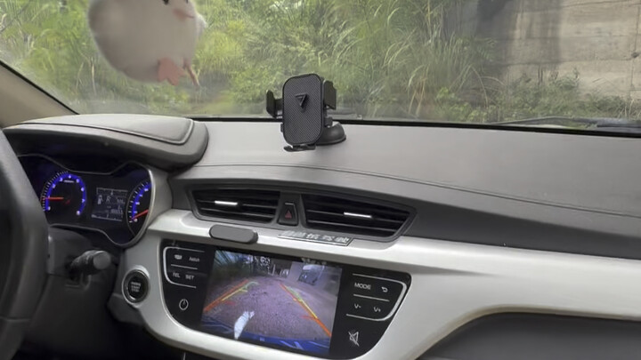 【Sang Raja Mobil No.1】Video terbaru telah tayang, ayo segera saksikan!