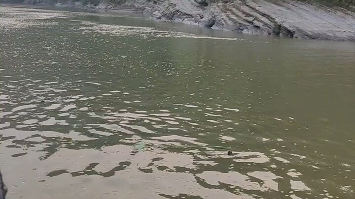 প্রকৃতির বিকালে বেলা করে ভ্রমণ যাচ্ছি নৌকায় করে মাতামুহুরী নদী।
