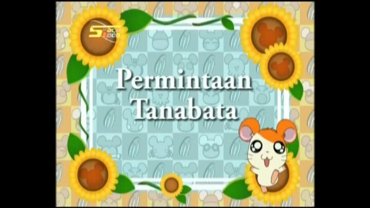 Hamtaro permintaan Tanabata