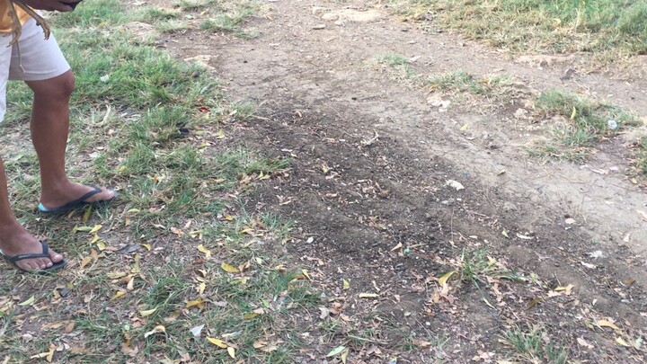 First spar Mclean Hatch Vs Jet sweater