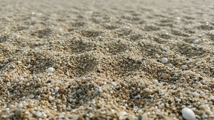 Number 1 and A Beachball (Veo)