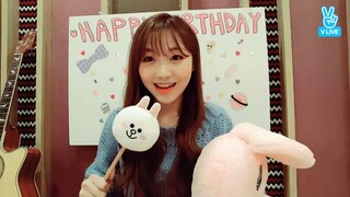 161118 빵떠기 생일 콘서트