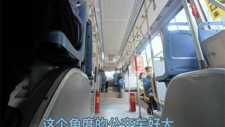 Baby’s View: A Day of Being Squished Under the Arm While Hopping on the Bus