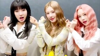 同门师姐妹挑战！赵美延 x LIGHTSUM新歌Alive挑战