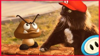 Super Mario Cat, Short Video Clip. 😸