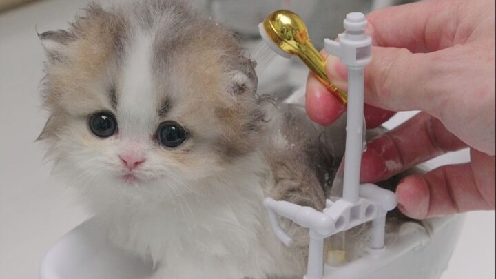 Baby is going to take a bath~