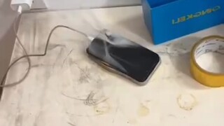 难蚌