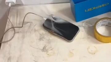 难蚌