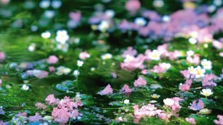 “邀你看夏日浪漫 水中花～”