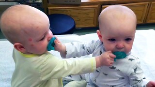 ทารกซุกซนทะเลาะกันเพราะจุกนมหลอก - พยายามอย่าหัวเราะ